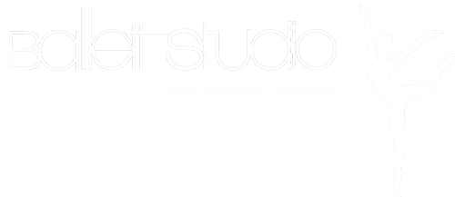 website-logo